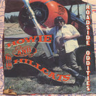 Howie and The Hillcats - Roadside Oddities