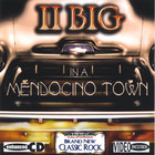 II BIG - In A Mendocino Town
