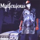 Maticulous - Maticulous