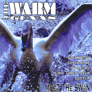 Meet the Swan