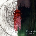 13ghosts - Cicada