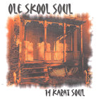 14 Karat Soul - Ole Skool Soul