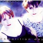 22 Brides - Demolition Day