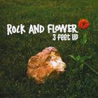3 feet up - Rock and Flower