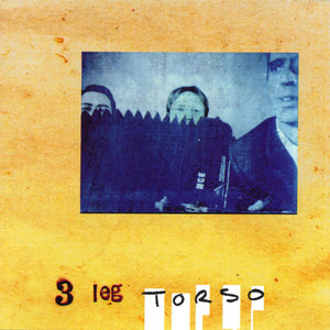 3 Leg Torso