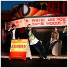 A Balladeer - Where Are You Bambi Woods