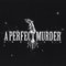 A Perfect Murder - Unbroken