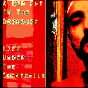 Life Under The Chemtrails