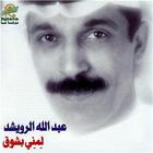 Abdallah Al Rowaishid - Lumni Bishawk