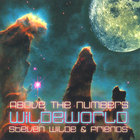 Above The Numbers - Wildeworld