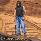 Adam - Determination
