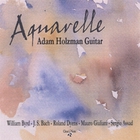 Adam Holzman - Aquarelle