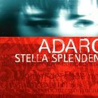 Stella Splendens