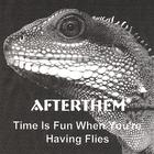 AFTERTHEM - Time Is Fun When You're Having Flies