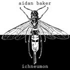 Aidan Baker - Ichneumon