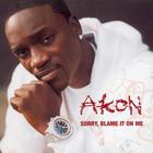 Akon - Sorry Blame It On Me