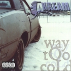 Akream - Way Too Cold