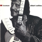 Albert Collins - Don't Loose Your Cool