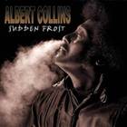 Albert Collins - Sudden Frost