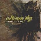 Albino Fly - The Divine Sophia