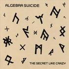 Algebra Suicide - The Secret Like Crazy