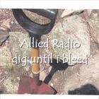 Allied Radio - Dig Until I Bleed