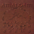 Amalgam - Delicate Stretch of the Seems