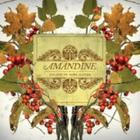 Amandine - Solace in Sore Hands