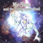 Mr Sleep and the Flying Green Toad