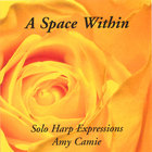 Amy Camie - A Space Within