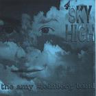 Amy Steinberg - Sky High