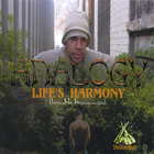 Analogy - Life's Harmony(humble beginnings)