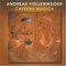 Andreas Vollenweider - Caverna Magica