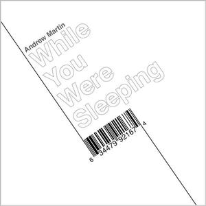 While You Were Sleeping - Single
