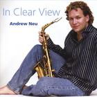 Andrew Neu - In Clear View