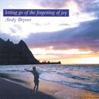 Andy Bryner - Letting Go Of The Forgetting Of Joy