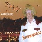 Andy Stanley - Snowgoose