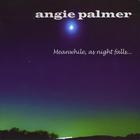 Angie Palmer - Meanwhile, As Night Falls...