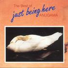 Anugama - The Best Of Just Being Here