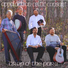 Appalachian Celtic Consort - Drop O' the Pure