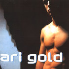 Ari Gold - Ari Gold