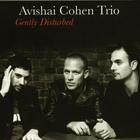 Avishai Cohen Trio - Gently Disturbed