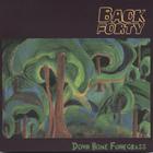 Back Forty - Down Home Funkgrass