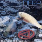 Banco De Gaia - Deep Live