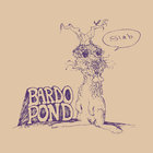 Bardo Pond - Slab (EP)