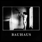 Bauhaus - In The Flat Field (Reissued 1988)