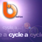 Beehive - Cycle A