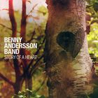 Benny Andersson - Story Of A Heart