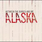 Between The Buried And Me - Alaska