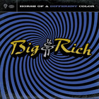Big & Rich - Horse Of A Different Color